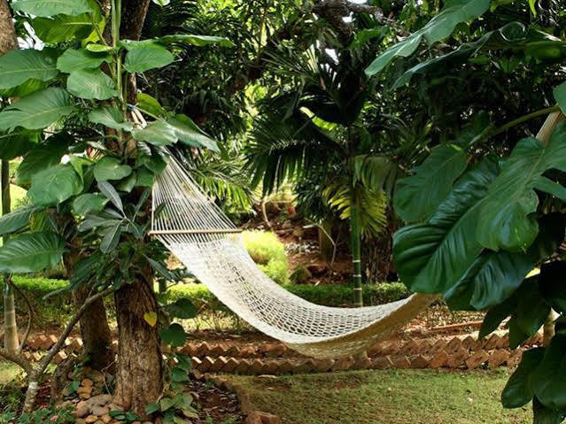 Resort Nirvana Hermitage 3*