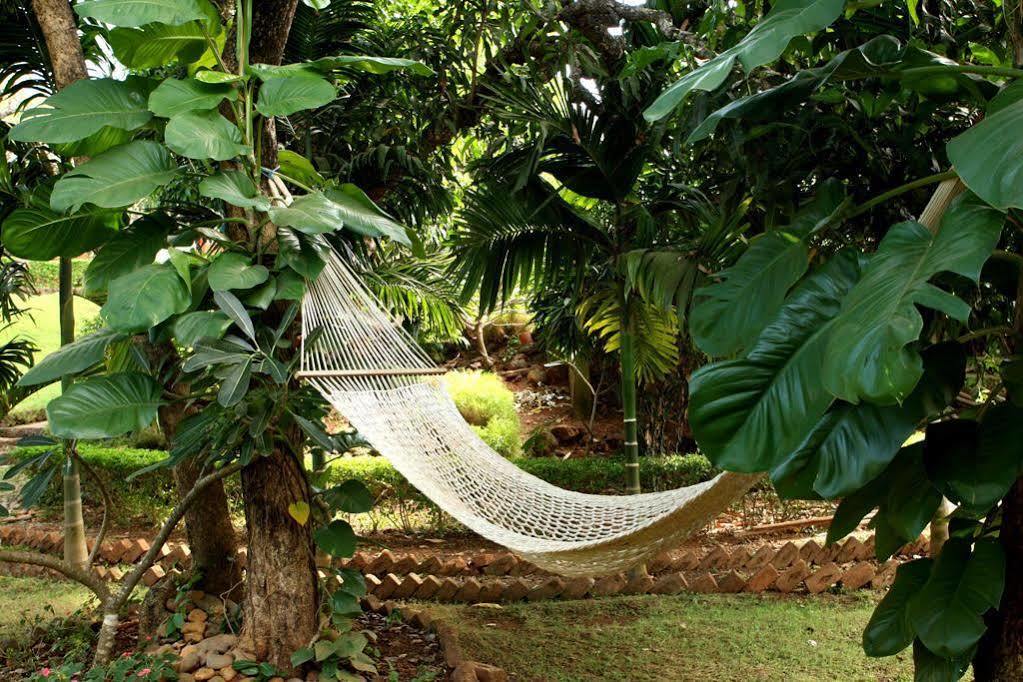 Resort Nirvana Hermitage